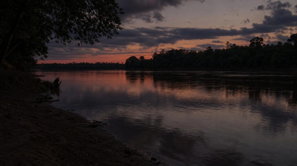 a shot of rusizi river hinting of the danger lurking inside it